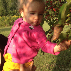 Wildcrafting_With_Kids