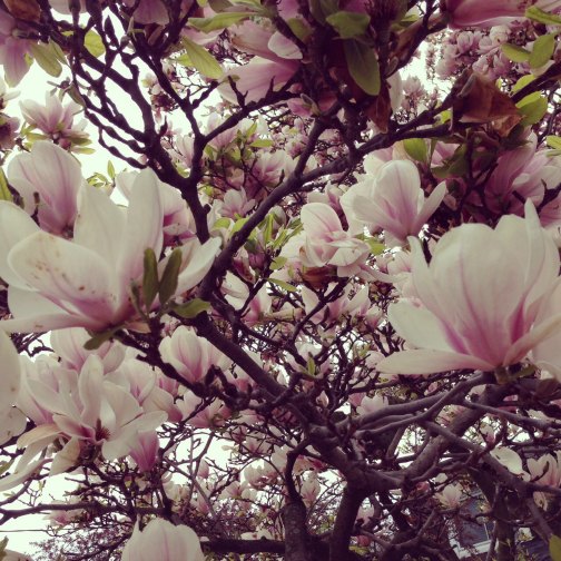 motherless on mother's day