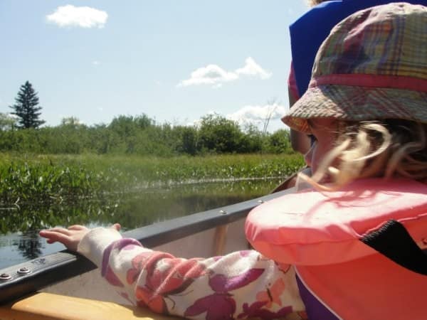 algonquin park canoe