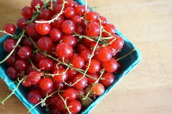 basket of red currants
