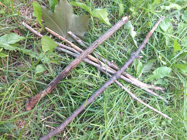 harry potter wand sticks
