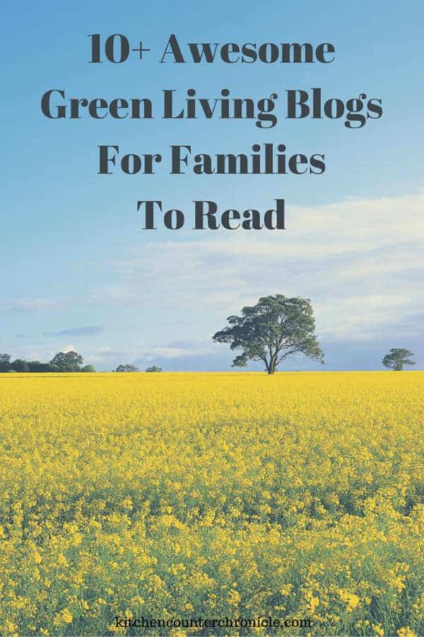 awesome green living blogs