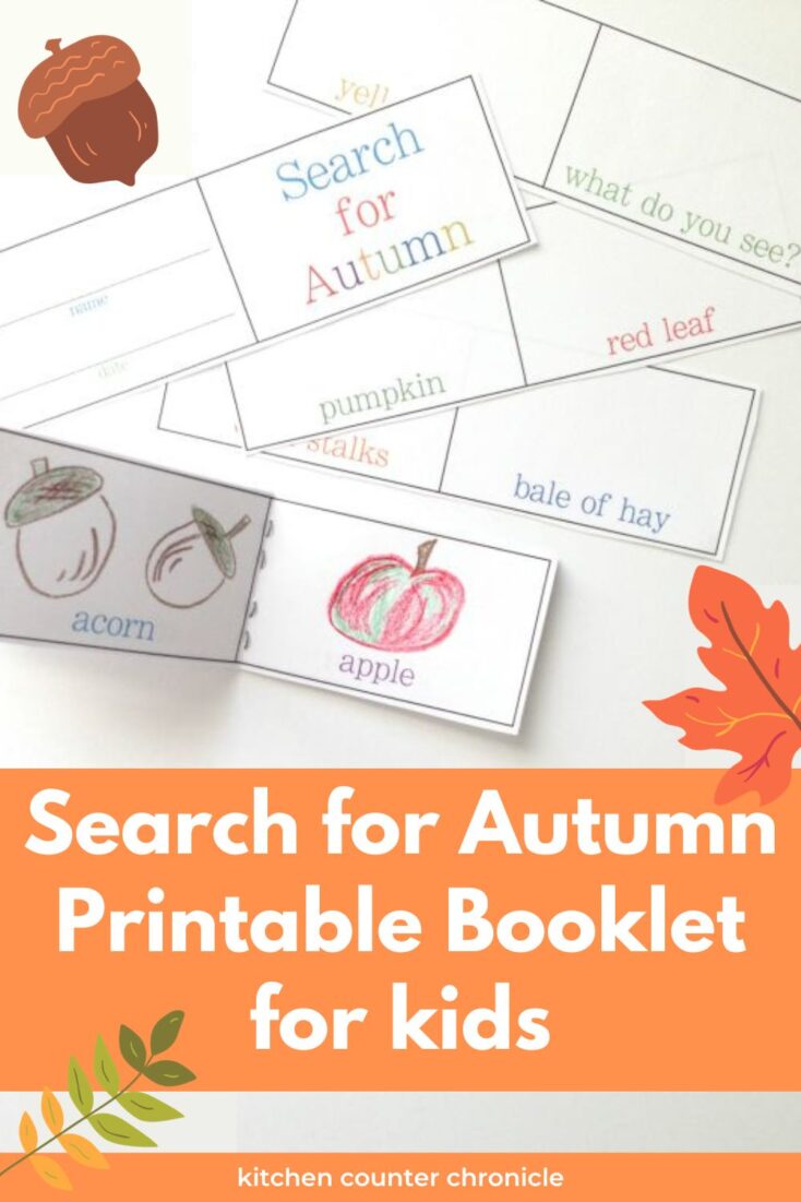 title "search for autumn printable booklet for kids" with print out of fall booklet for kids that has drawings of acorns and apples inside.
