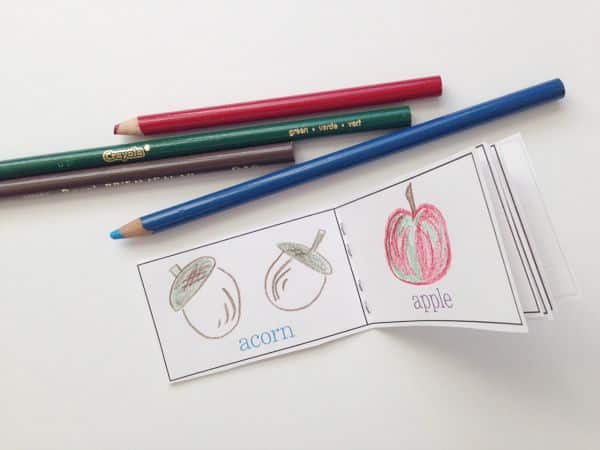 search for autumn fall booklet