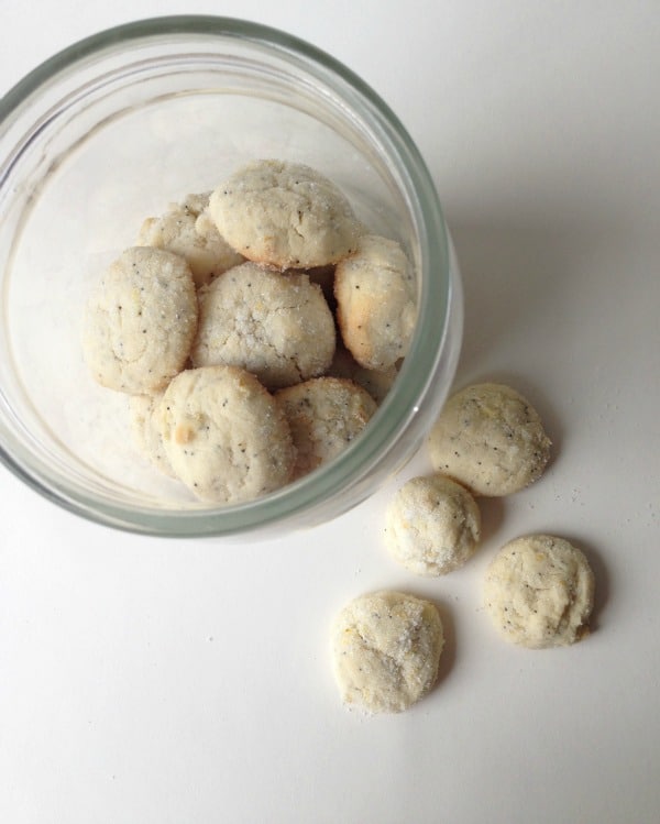 lemon poppy seed cookies in jar