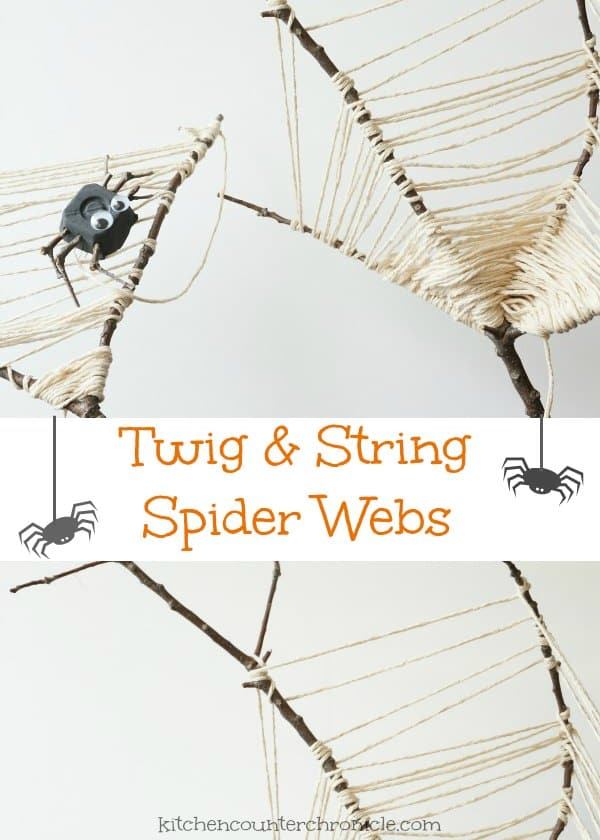 twig and string spider web craft