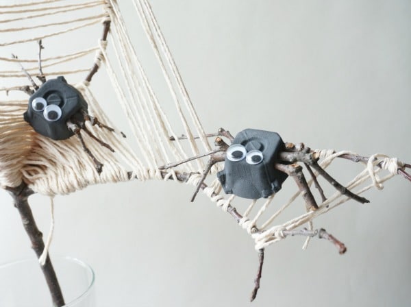 twig spider in web
