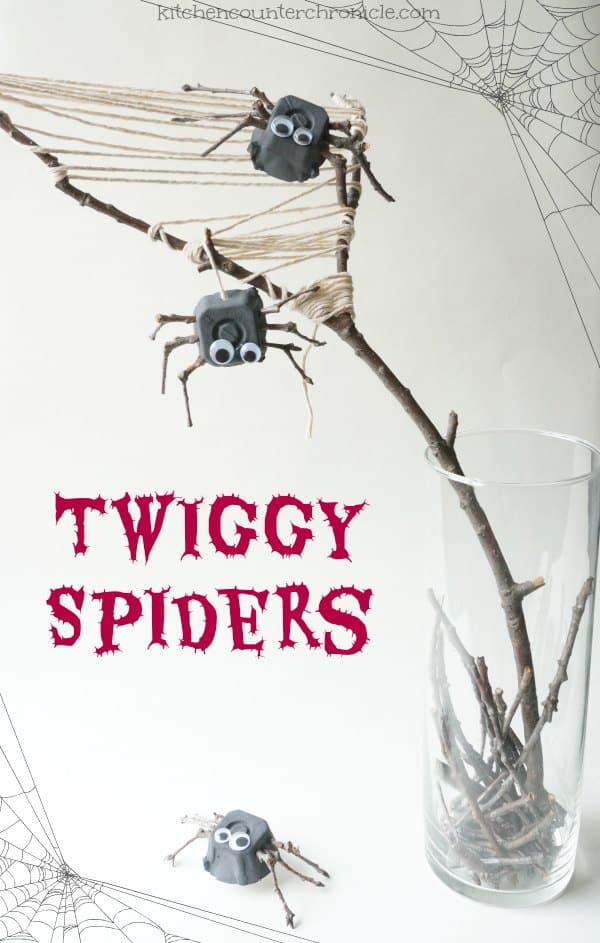 twig spider craft