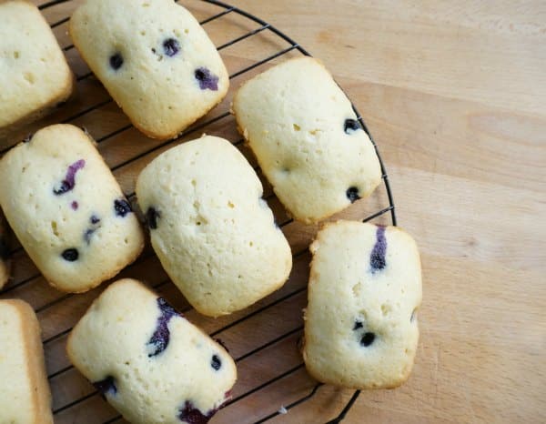 lemon blueberry loaf