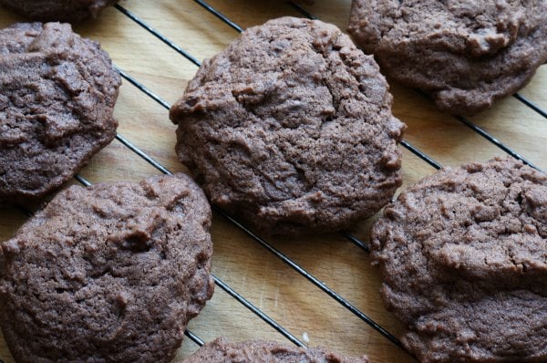 chocolate chocolate chip cookie recipe