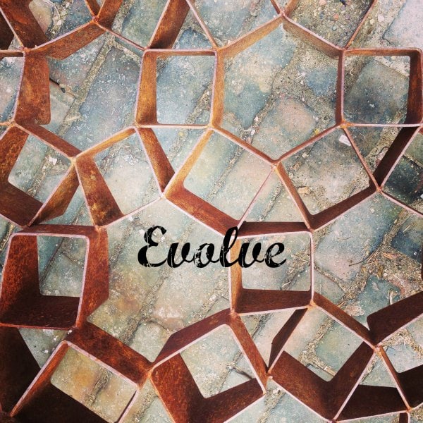 evolve word of the year 