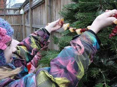 fruit garland for birds