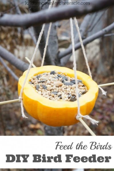 How to make a homemade bird feeder diy