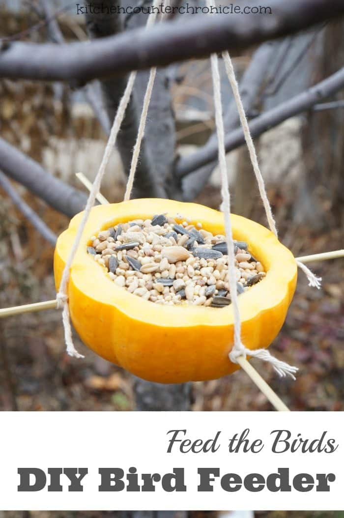 Blog – Tagged DIY Bird Feeder –