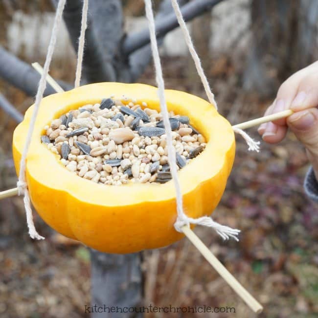 How to make a simpel homemade bird feeder fb