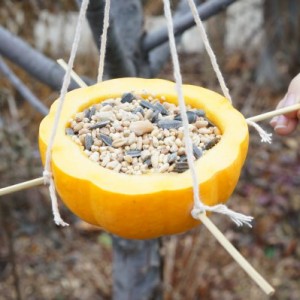 homemade gourd bird feeder hanging in the tree