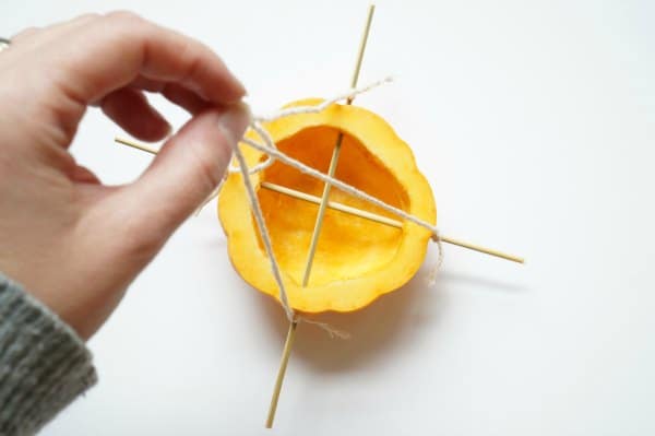 homemade bird feeder with string to hang from