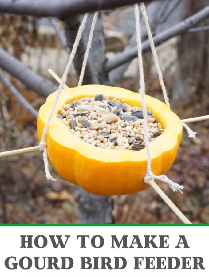 how to make a gourd bird feeder