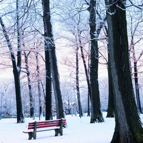 ways to beat the February blues