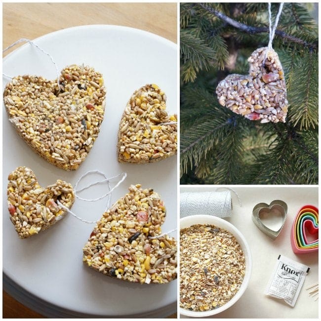 cookie cutter birdseed bird feeder collage hanging in tree and on plate