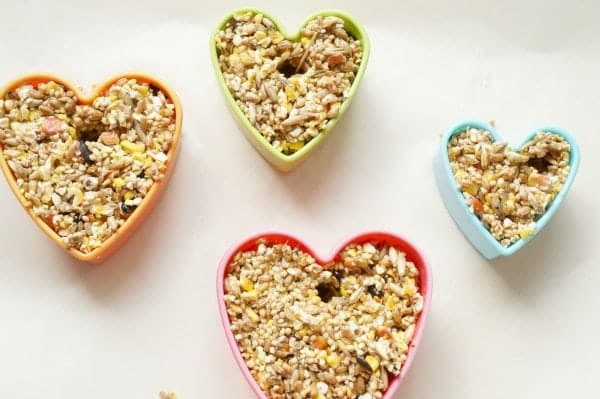 cookie cutter bird feeder in cookie cutters