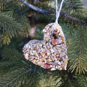 cookie cutter bird feeder in tree 1-min