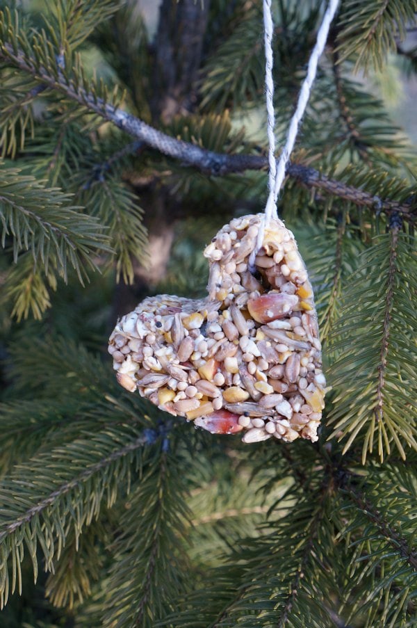 cookie cutter bird feeder hanging in tree