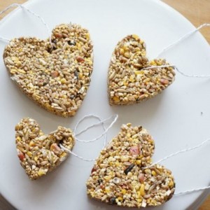 birdseed ornaments on a plate