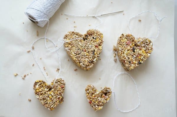 cookie cutter bird feeder with string in bird feeder for kids