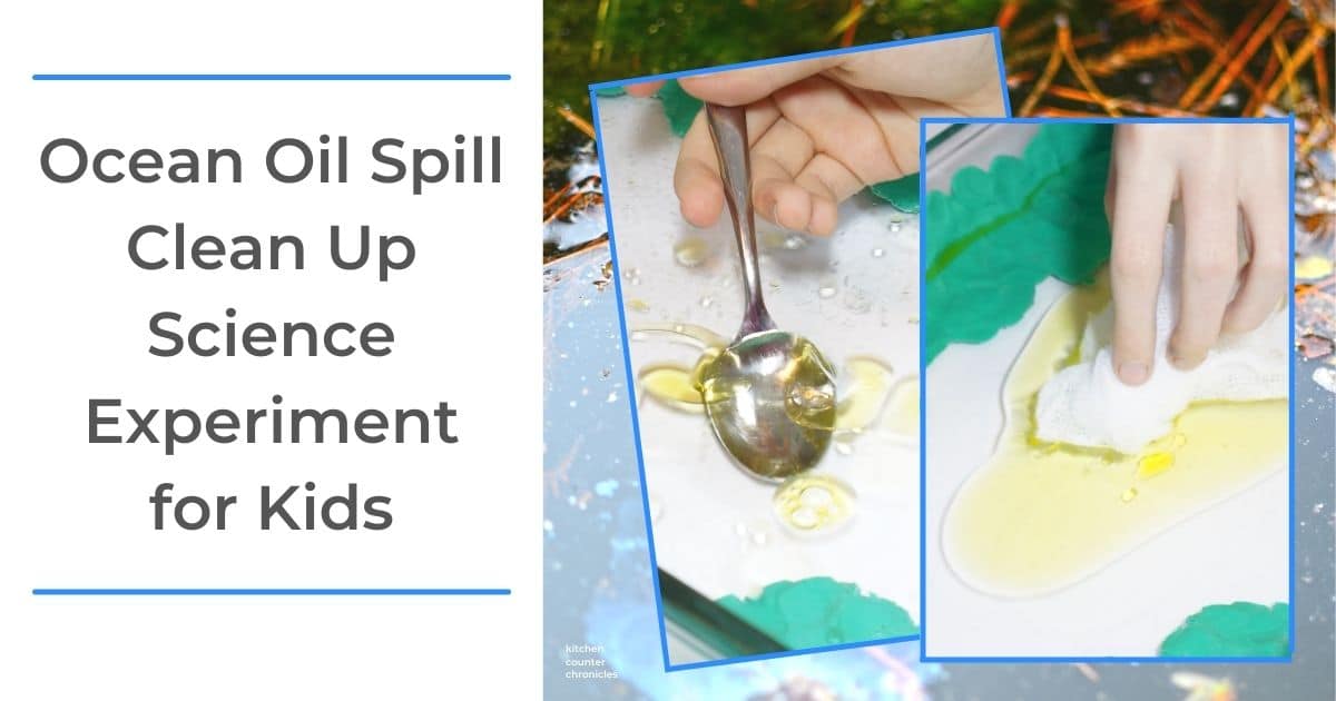 Hands On Oil Spill Clean Up Science Experiment for Kids
