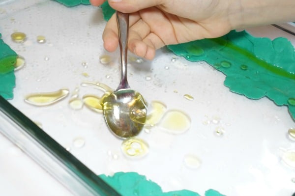 oil spill clean up experiment spoon