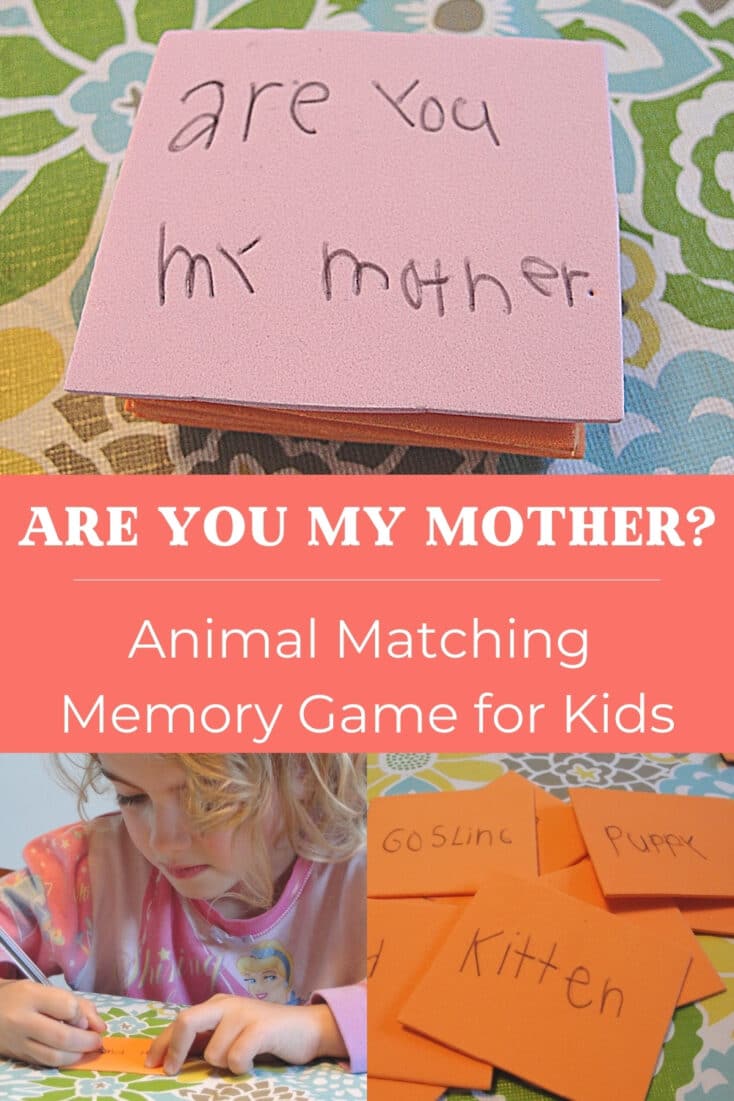 Animal Matching Memory Game