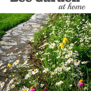 How to Build a Bee Garden at Home