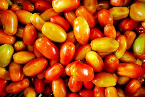 Roma Plum Tomatoes