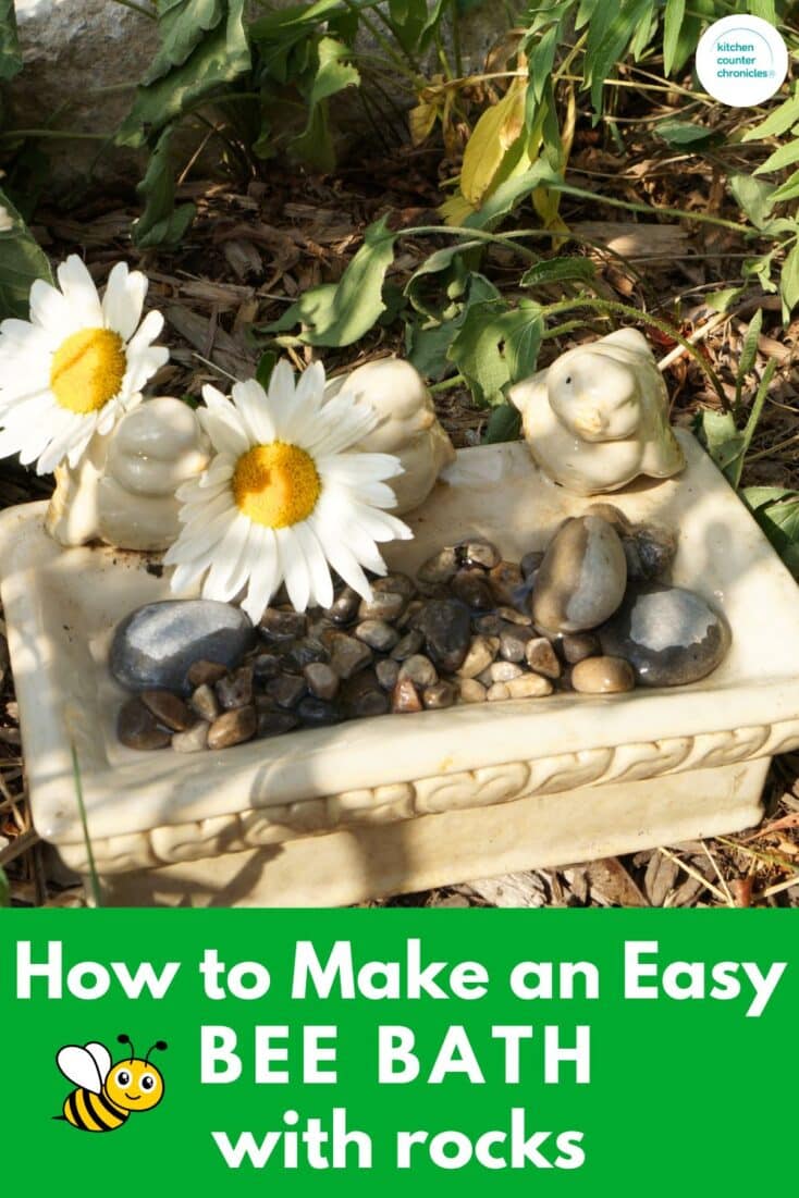 title "How to Make a BEE BATH with rocks" bee bath in a garden