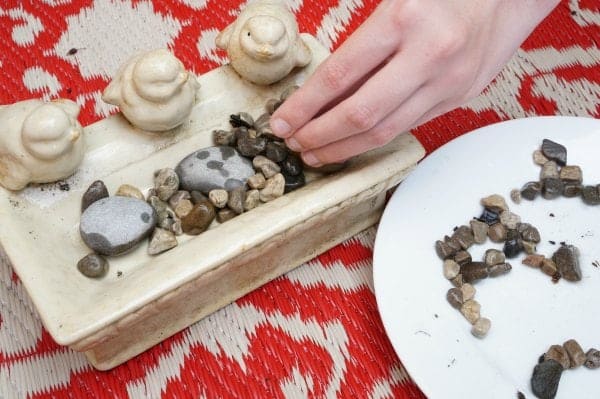 bee bath being filled with pebbles