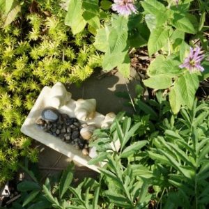 build a bee bath in the garden-min