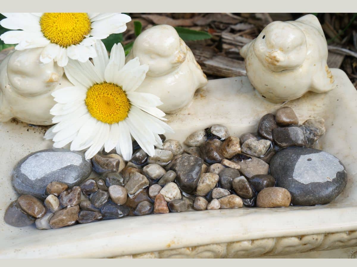 close up of diy bee bath with rocks filled with water