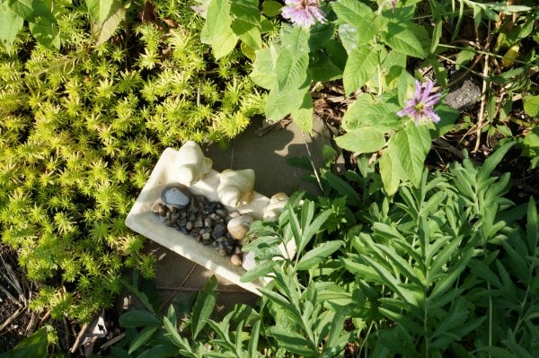 How to build a bee bath in the garden