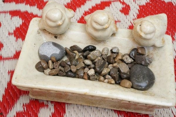 How to build a bee bath