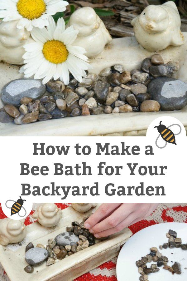 how to make a bee bath