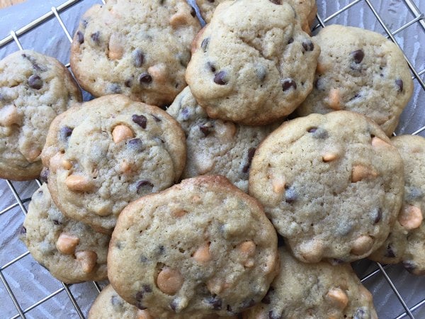 Chewy Chocolate Chip Cookies