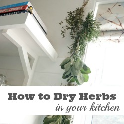how to dry herbs in your kitchen