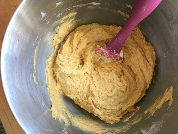 Pumpkin Coffee Cake Batter