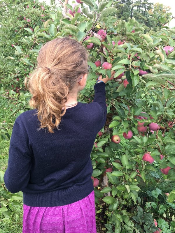 Apple Picking Trip