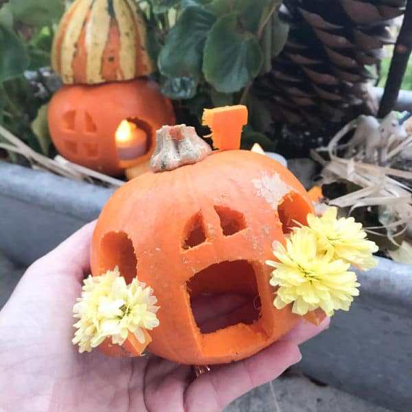 little pumpkin jack o'lantern in hand