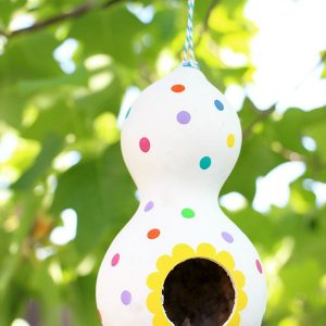 polka dot gourd bird house craft