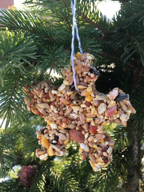 Bird Seed Christmas Ornament