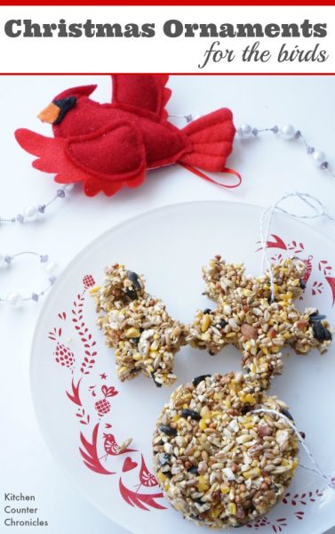 Bird Seed Christmas Ornaments - Celebrate Christmas with the birds. These ornaments are simple to make and looks so lovely hanging outside in a tree. Make them with the kids and watch the birds flock to your yard to eat a holiday treat. | Kids in the Kitchen | Christmas Ornaments | Handmade Christmas | Make a Bird Feeder | Bird Seed Ornament |