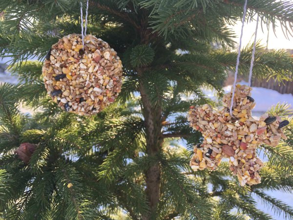 Bird Seed Christmas Ornaments